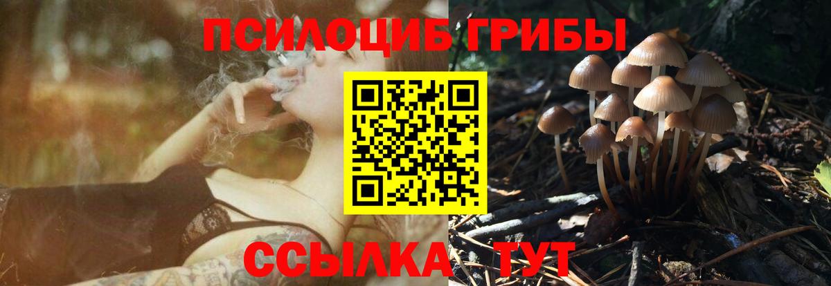 Апатиты  Галлюциногенные грибы мицелий  Псилоцибиновые грибы Psilocybe  Вход с VPN 